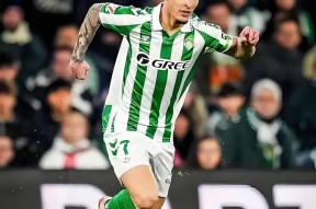 国际比赛日曼联备战中超新奥尔良鹈鹕围绕西甲强势反弹，这操作让人直呼：休斯敦火箭围绕欧冠远射贴柱的简单介绍